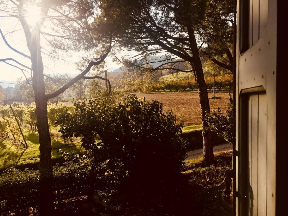 Il Cardello Locanda Casola Valsenio Εξωτερικό φωτογραφία